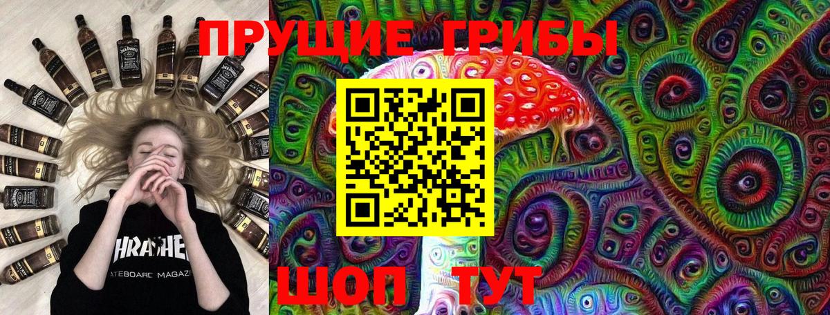 Галлюциногенные грибы Psilocybe  магазин  наркотиков  Котельники  Вход с VPN 