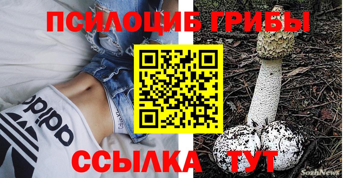 Псилоцибиновые грибы мицелий Котельники